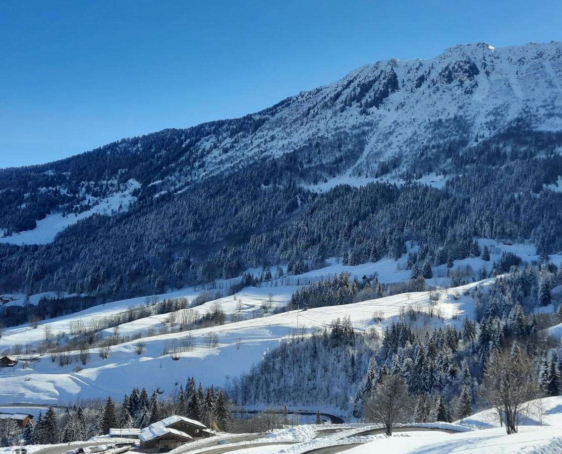 Chalet Lucie Le Cheval Noir Valmorel Dış mekan fotoğraf